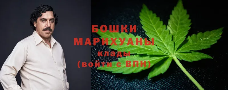 купить   Инза  МАРИХУАНА индика 